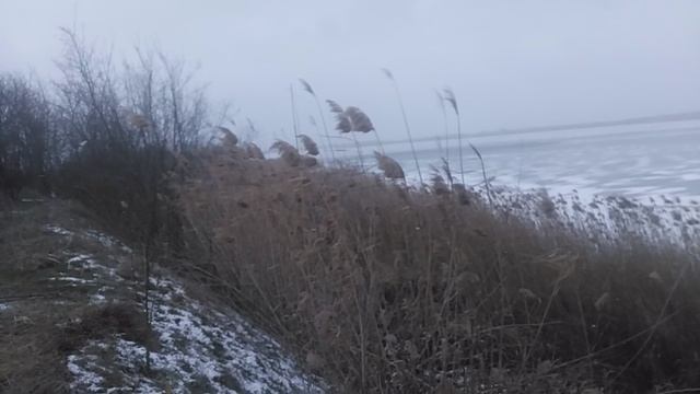 VID_20250219_144641