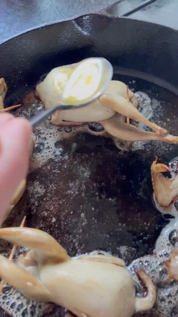 Roasted Quail with Citrus Herb Sauce