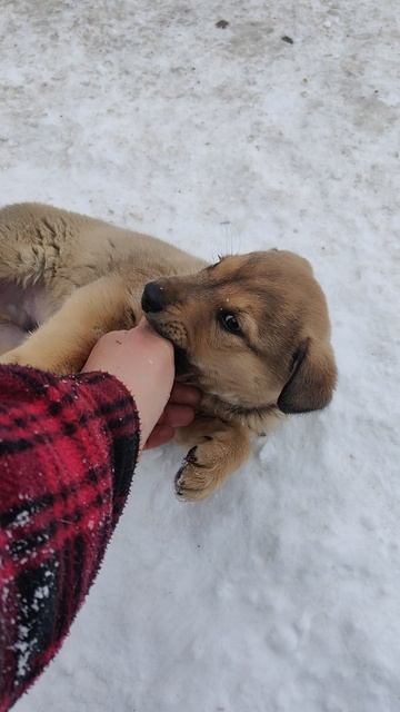 Первый снег в жизни.