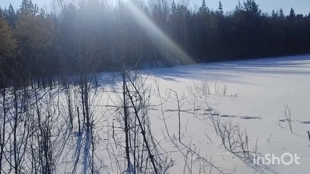 По следу ЗАЙЦА.mp4