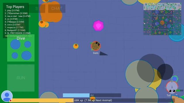 Стрим игры "mope.io".