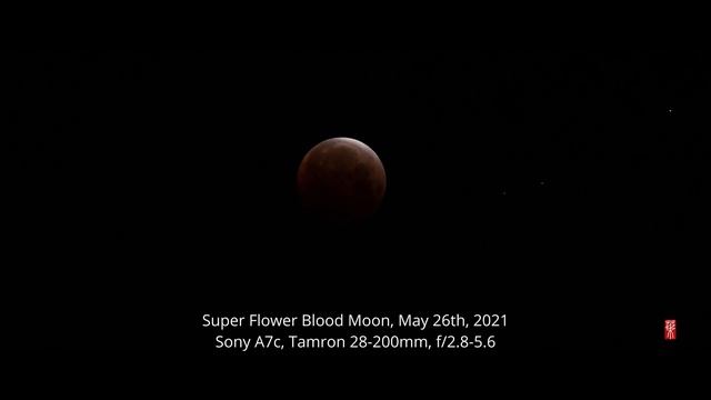 Super Flower Blood Moon on May 26th, 2021 (Sony A7C 4K, Tamron 28-200mm f/2.8-5.6)