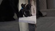1000406510.mp4