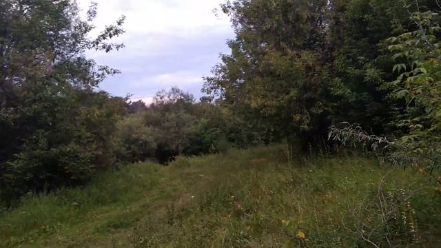 Аркуль 26 июля