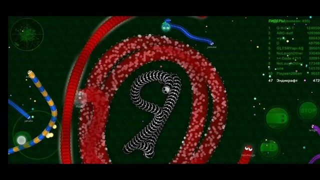 Играю за скин чёрного скелетика в Wormax.io. Подрезал зелёного червяка.