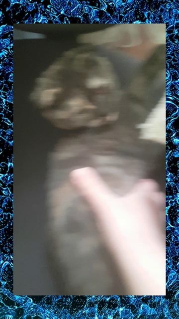 и как мне видео записать!?:(((