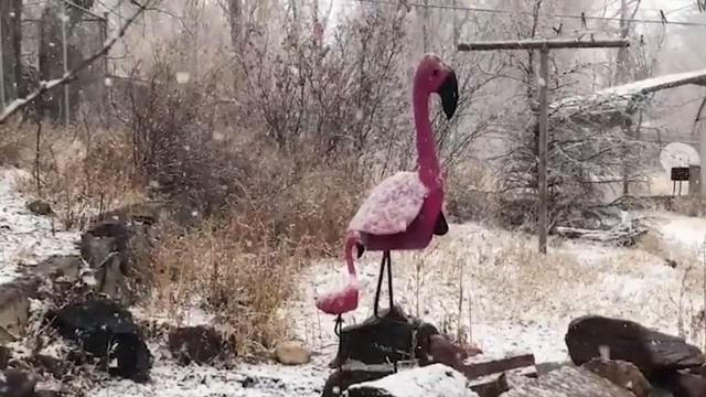 The first snow in Colorado! Car traffic is stopped in the USA! Winter is coming back!