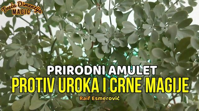 PROTIV UROKA I CRNE MAGIJE PRIRODNI AMULET