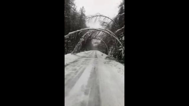 Санта-Радилово