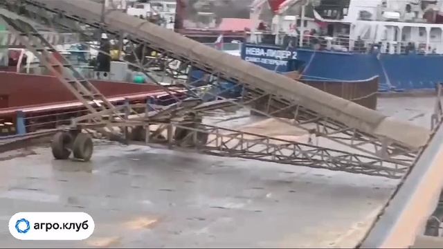 Отгрузка зерна на экспорт в порту