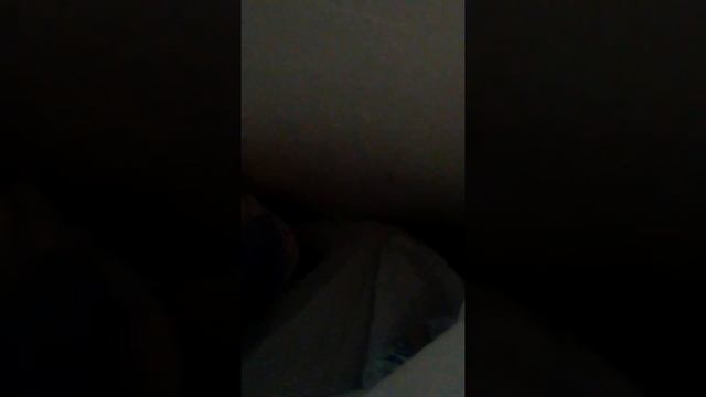 Zabijáci pavouků