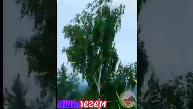 7 июля 2022 г.