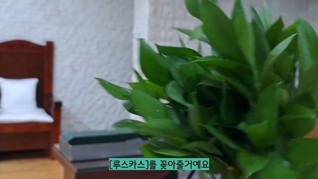 스프레이 장미 성전 꽃꽂이