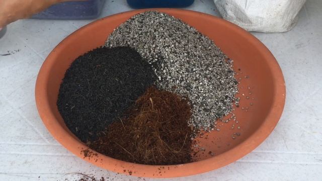 How To Make Succulents Soil Mix - Lowland Philippines