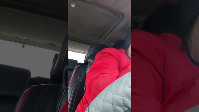 Я решила вопрос с алабаем