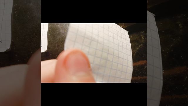 игра в школяра 2 серия
