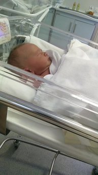 наше первое