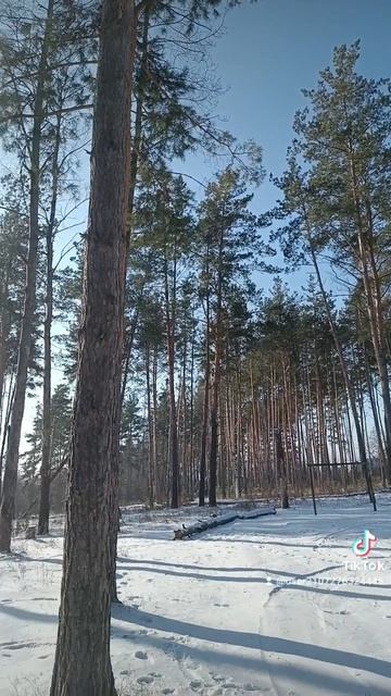 зима