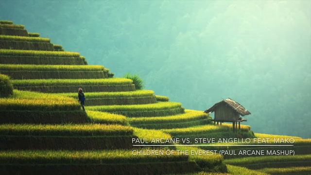 Paul Arcane vs. Steve Angello feat. Mako - Children of the everest (Paul Arcane Mashup)