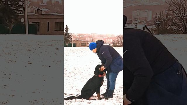 Звезда Давида АннаБель. Ищем владельцев