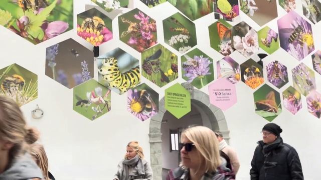 Прогулка по Радовлице, Старый город, Словения