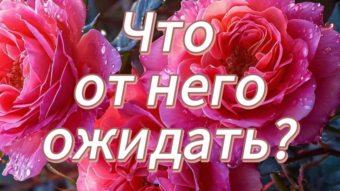 Что от него ожидать? Его действия?