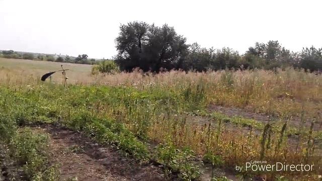 #Загатовки  Очередные заготовки / Наверно это плохо.