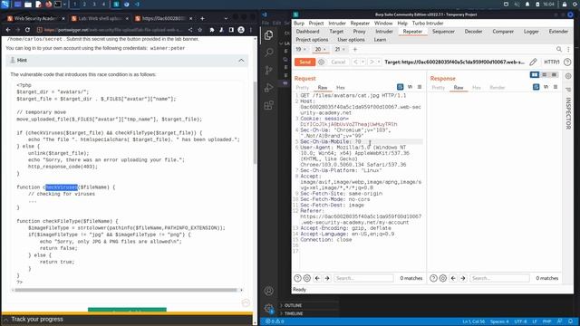76 Lab #7 Web shell upload via race condition