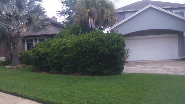 Giant Shrubs Cut back South Jacksonville Beach(1)