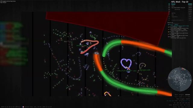Slither.io: Team Fun - Ring And 230k