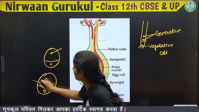 12th BOARD 2024-25 BIOLOGY | Sexual Reproduction | Lecture - 06 | by Anshu Yadav #nirwaangurukul