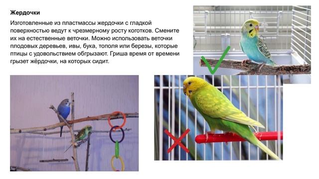 Конкурс проектов 2025. Новогиреевская. 180