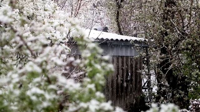 Чечельник 20 04 2017