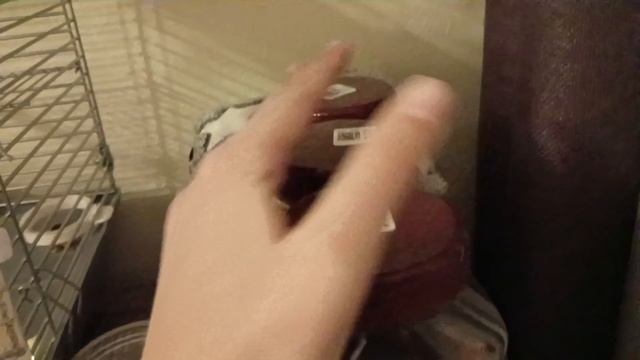 Распаковка вещей для крыс 🐭🛍