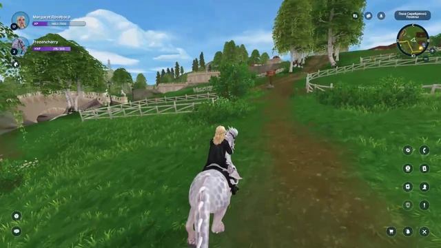 Путь чемпиона: как подготовиться к турнирам | Equestrian Journey