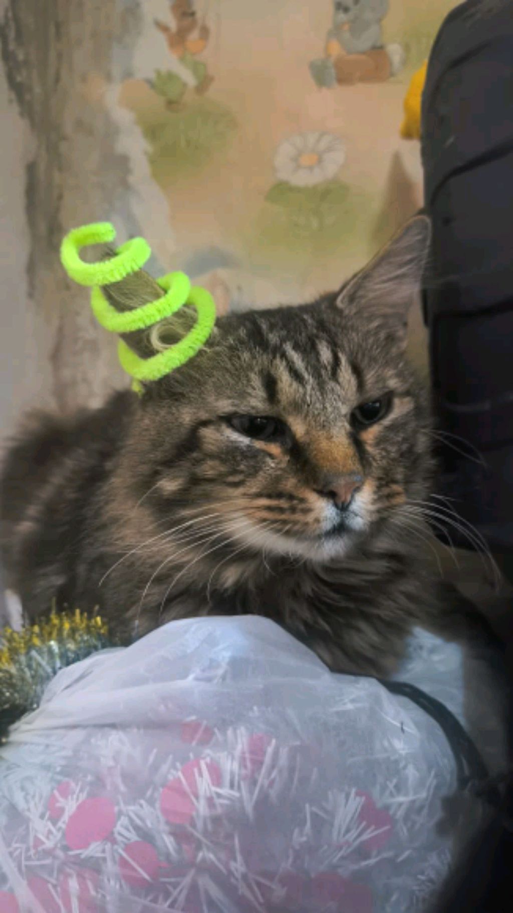 РЕБЯТ НЕТ 🧋🪼🫵