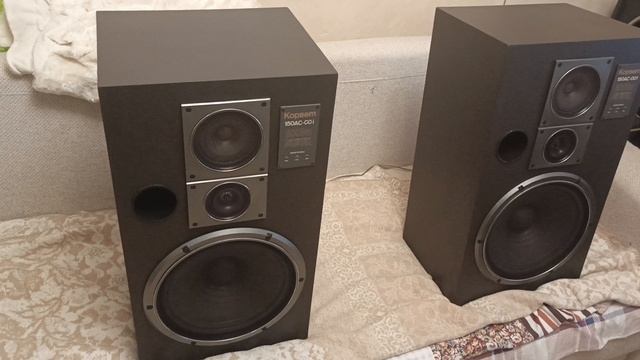 VID_20250219_202742
