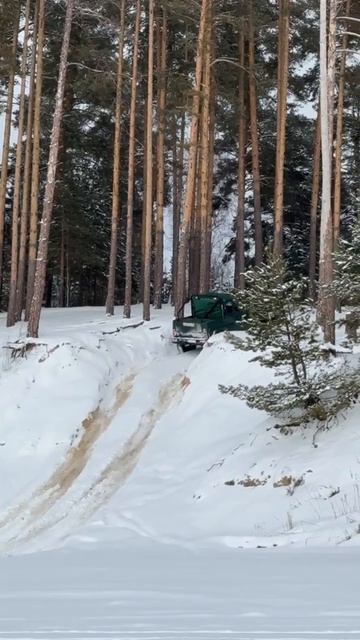 УАЗ лезет в гору соснового бора