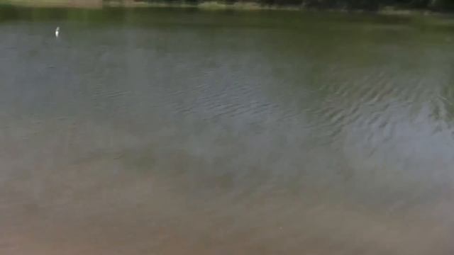 Пьянство на воде