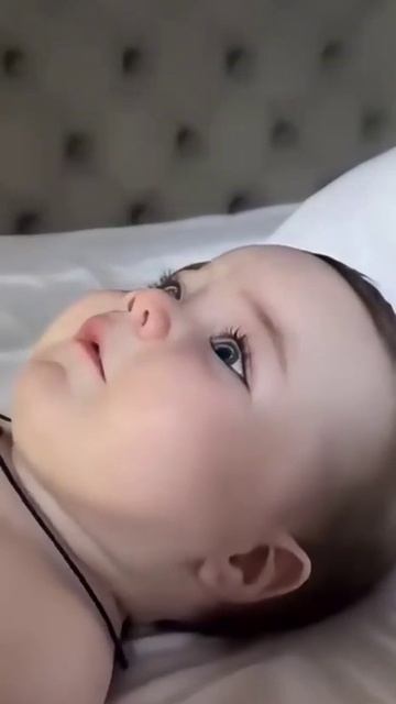 Просто немного милота вам в ленту