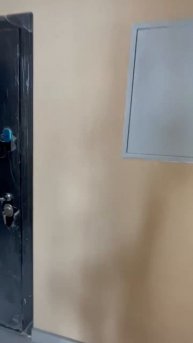 95350280 Сокол