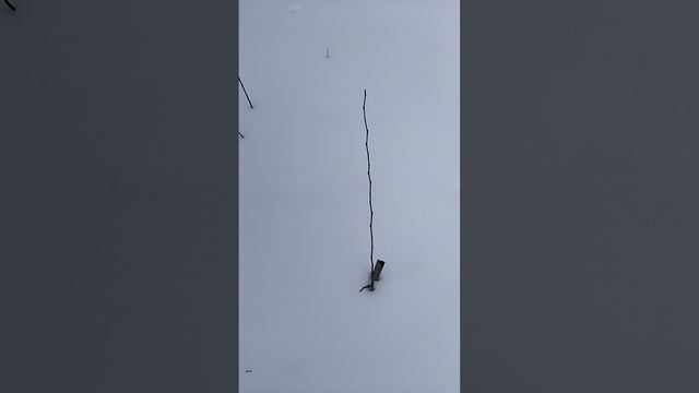 1000002440.mp4