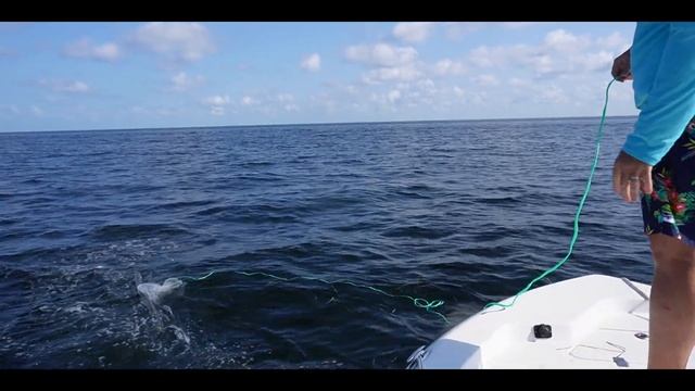 pov: you've never thrown a bait casting net