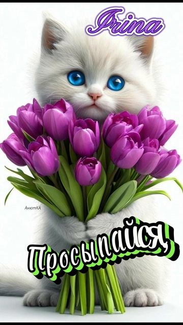 Доброго утречка 😘🤗
