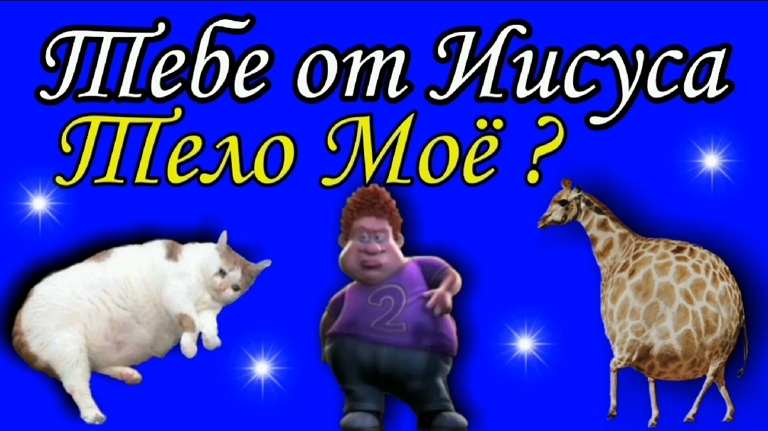 Тело Моё ?