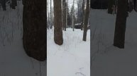 VID-20250220-WA0026
