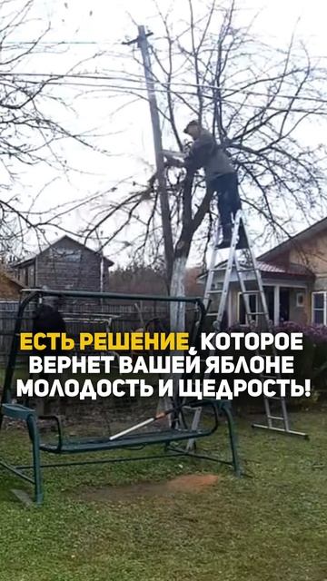 Что делать в этом случае?