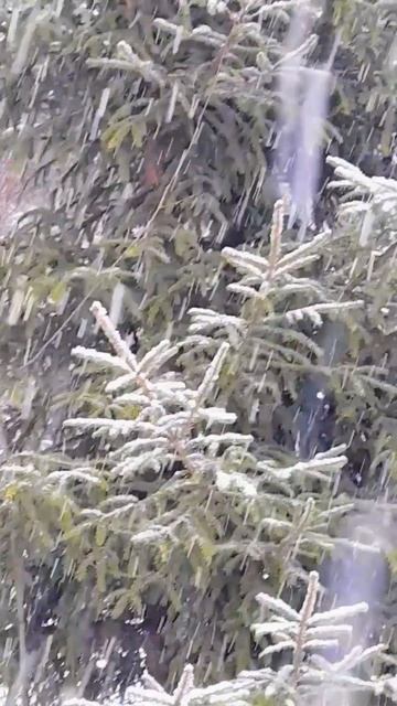 Музыка под снегом. Сторонка Родная..