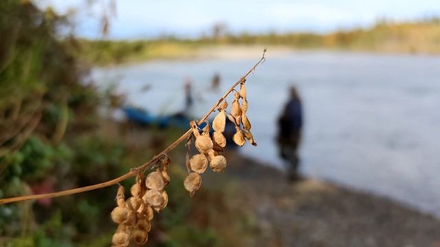 Лесные - лучшая лесная изба, где я был. лесная баня, жизнь в тайге - счастливые люди