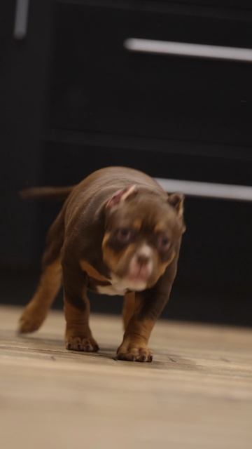 Красотка Мэган🔥🔥🔥 дочь Зидана и Ханны❤️